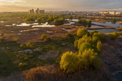 24 mai ziua europeana a parcurilor nationale sarbatorita si in bucuresti parcul natural vacaresti exemplu de conservare urbana 68321920d6cc1