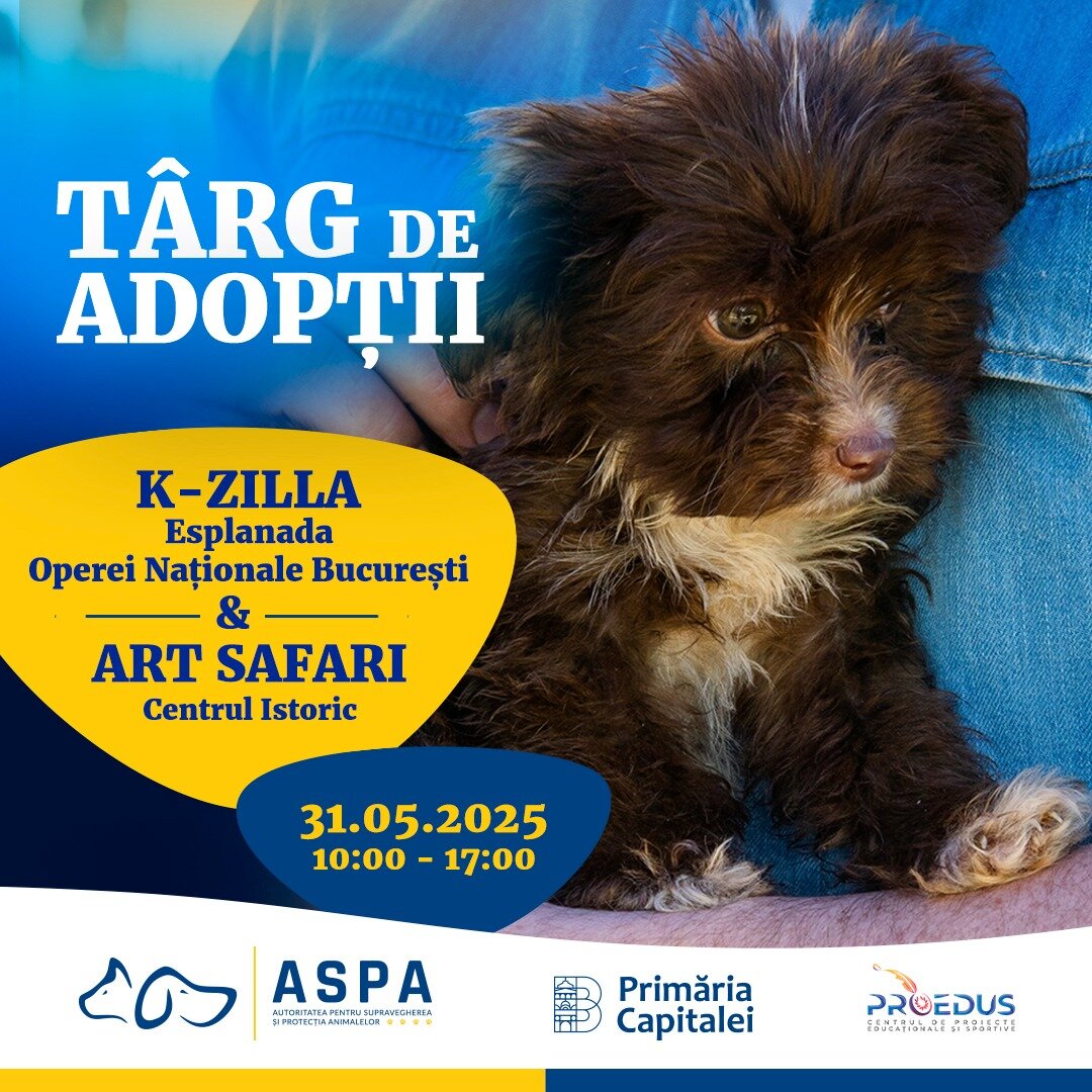 adopta un prieten pe viata aspa participa la doua targuri de adoptii de catei sambata 31 mai 6835cb81e0235