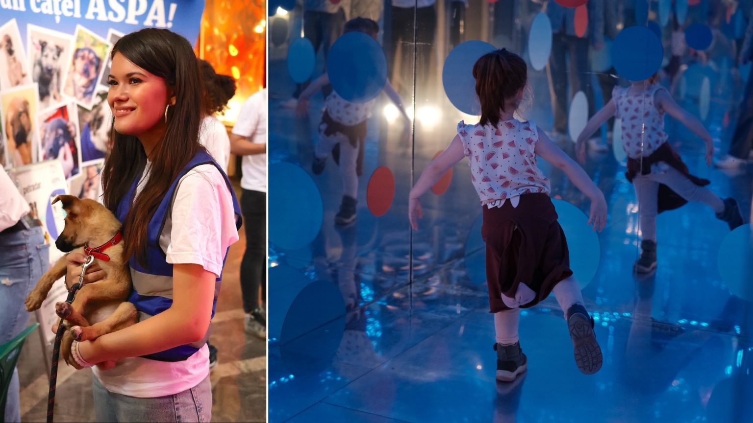 art safari kids edition e in weekend la palatul dacia romania vor fi aici noi expozitii pentru copii targ de adoptii de catei de la aspa si ateliere 6834535e7c769