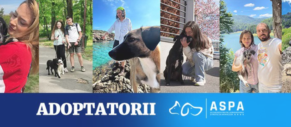 aspa lanseaza comunitatea adoptatorilor un grup special pentru iubitorii de catei adoptati 683184c753749