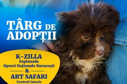 aspa participa la finalul acestei saptamani la doua targuri de adoptii de catei 6836a6aaaa0c9