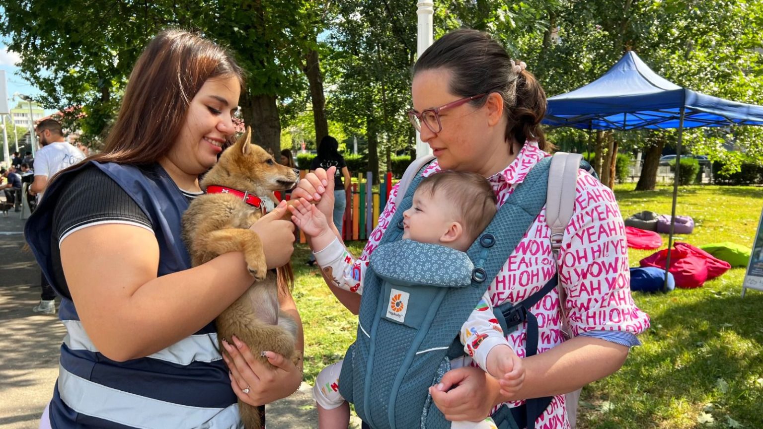 aspa pregateste doua spatii special amenajate pentru copii 6837dc0a1f48f