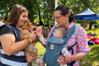 aspa pregateste doua spatii special amenajate pentru copii 6837dc0a1f48f