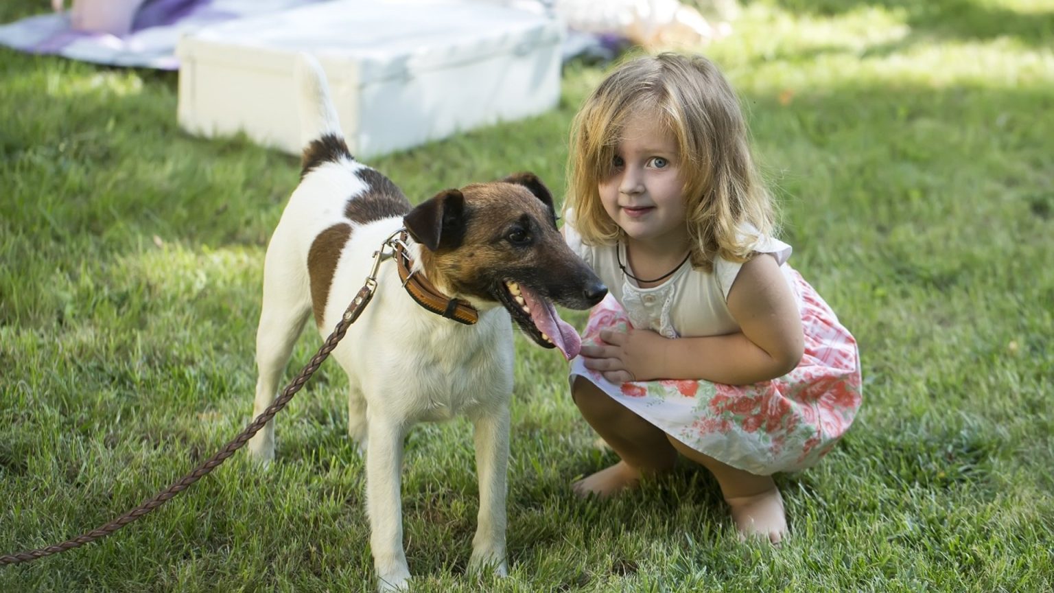 aspa vrea sa faca locuri de joaca pentru copii la adaposturile din bragadiru si mihailesti apel catre bucuresteni ar fi grozav sa ne ajutati cu jucarii carti masute si scaunele 683728c71499b