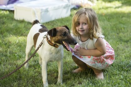 aspa vrea sa faca locuri de joaca pentru copii la adaposturile din bragadiru si mihailesti apel catre bucuresteni ar fi grozav sa ne ajutati cu jucarii carti masute si scaunele 683728c71499b