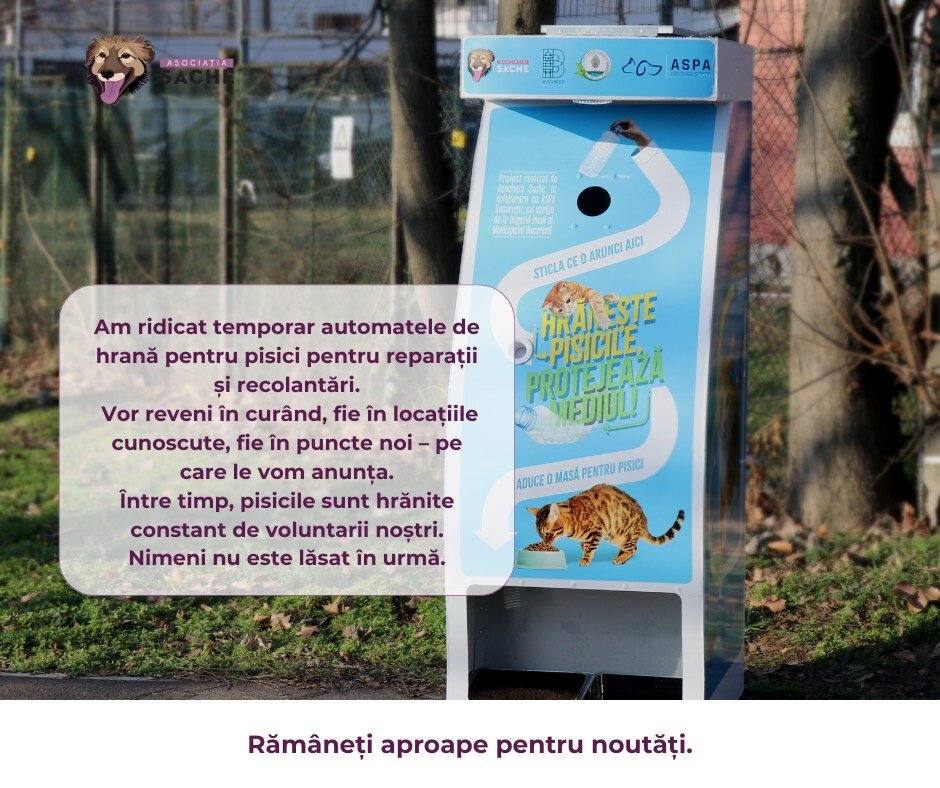 automatele de hrana pentru pisici retrase temporar pentru reparatii si reconditionare voluntarii asociatiei sache continua hranirea animalelor 682c69307e9a9