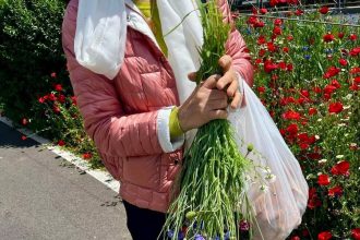 buchet cu amenda inclusa femeie amendata pentru ca a rupt flori de pe spatiul verde din zona lacului morii 6829e11fbb01d