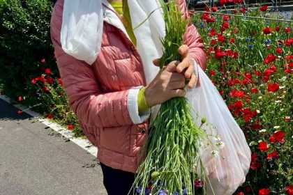 buchet cu amenda inclusa femeie amendata pentru ca a rupt flori de pe spatiul verde din zona lacului morii 6829e11fbb01d