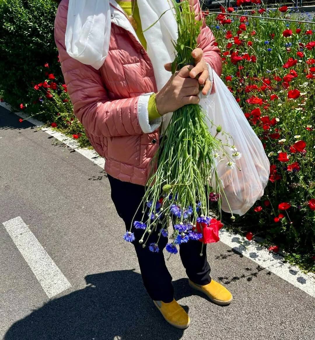 buchet cu amenda inclusa femeie amendata pentru ca a rupt flori de pe spatiul verde din zona lacului morii 6829e11fbb01d