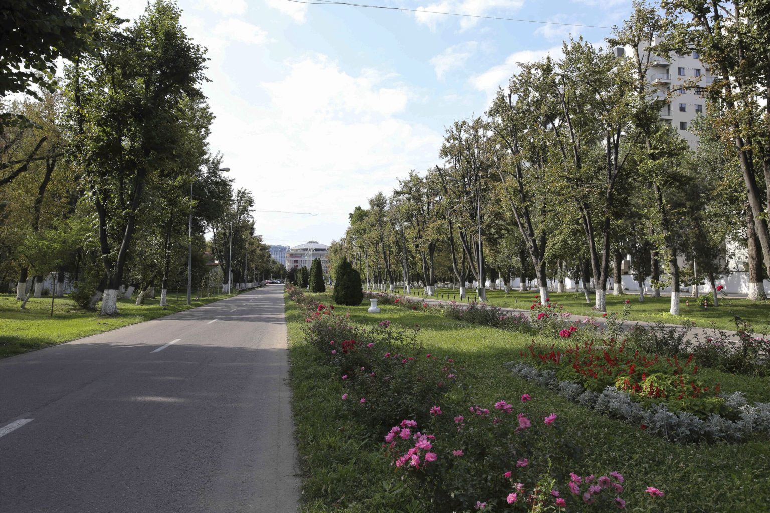 bucurestenii sunt invitati weekendul viitor sa observe pasarile din campusul politehnicii participarea e gratuita inscrierea se face online 6825d78be817a