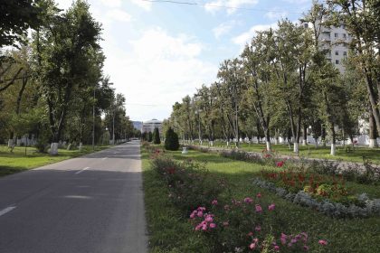 bucurestenii sunt invitati weekendul viitor sa observe pasarile din campusul politehnicii participarea e gratuita inscrierea se face online 6825d78be817a