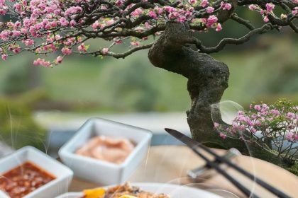 calatorie culinara prin asia fara pasaport parcul titan gazduieste cea de a 5 a editie asian food fest intre 23 si 25 mai 682c74e596019