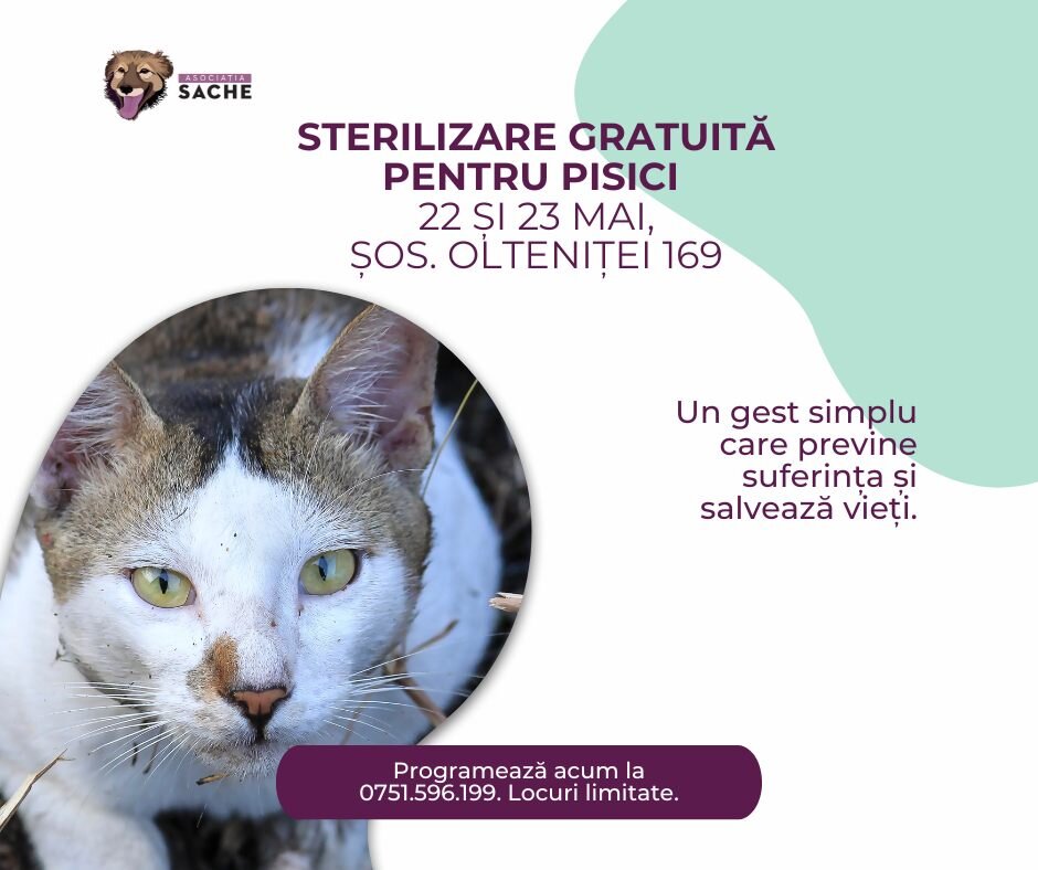 campanie de sterilizare gratuita pentru pisici pe 22 23 mai in sector 4 682dcd70e43fb