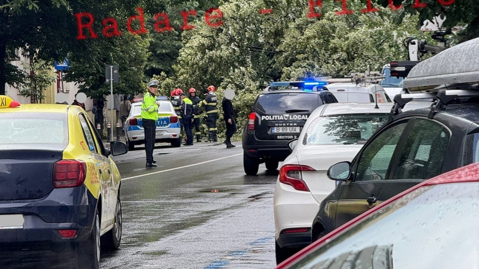 copac cazut pe bd lacul tei in statia luigi galvani stb liniile 182 si 282 blocate pe ambele sensuri 6839dd5ed83cf