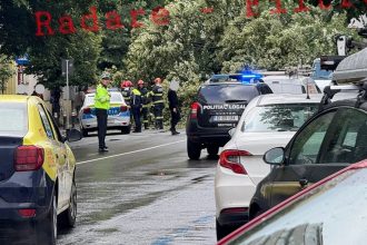 copac cazut pe bd lacul tei in statia luigi galvani stb liniile 182 si 282 blocate pe ambele sensuri 6839dd5ed83cf