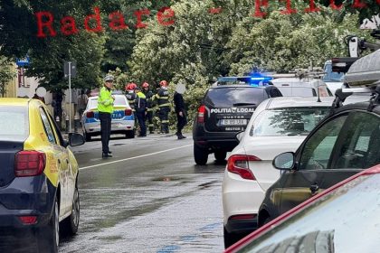 copac cazut pe bd lacul tei in statia luigi galvani stb liniile 182 si 282 blocate pe ambele sensuri 6839dd5ed83cf