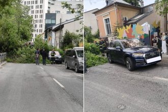 copac cazut pe doua masini pe un gard si pe sosea pe strada budisteanu trafic oprit echipaj isu la fata locului 6836907040263