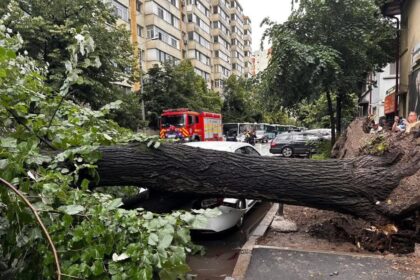 copac doborat de vant peste o masina in sectorul 2 683a8611b8d48
