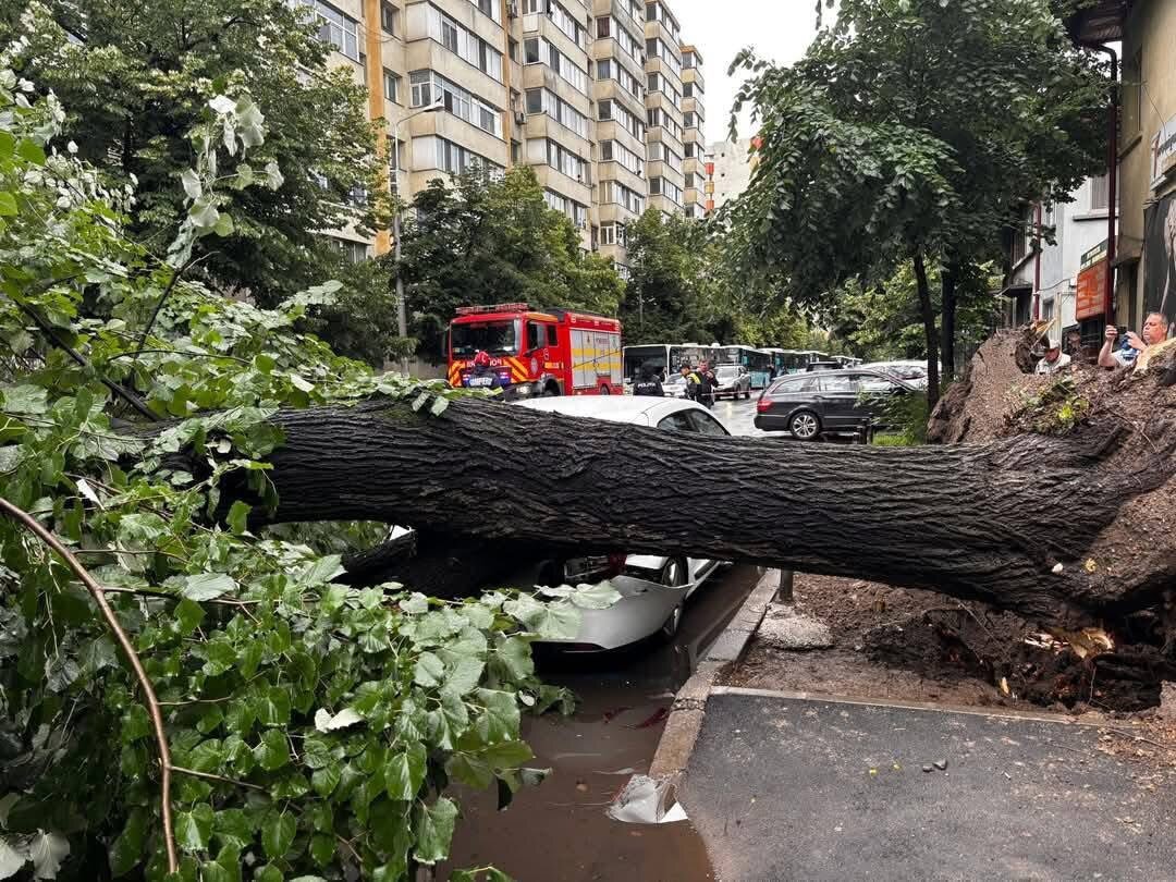 copac doborat de vant peste o masina in sectorul 2 683a8611b8d48
