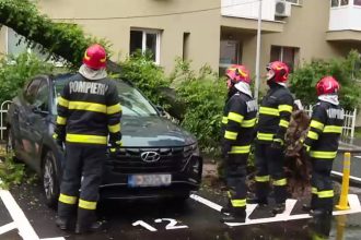 copac prabusit peste o masina in bucuresti mai multe strazi din capitala au fost acoperite de ape 6839d1a727b5f