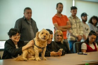 edupet curs suport despre animale dedicat angajatilor din firme si institutii 682702271cc4a