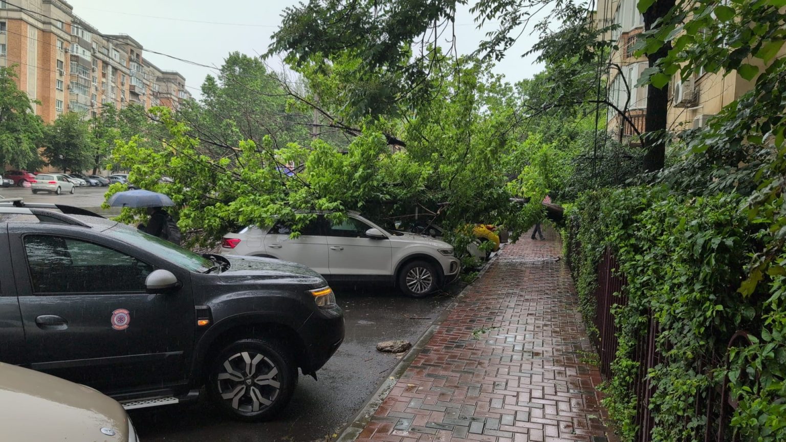 foto copac prabusit peste mai multe masini din parcare pe calea calarasi bucuresteanca am facut sesizare de anul trecut la ps3 am spus ca sta sa cada 6835785d464d0