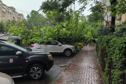 foto copac prabusit peste mai multe masini din parcare pe calea calarasi bucuresteanca am facut sesizare de anul trecut la ps3 am spus ca sta sa cada 6835785d464d0