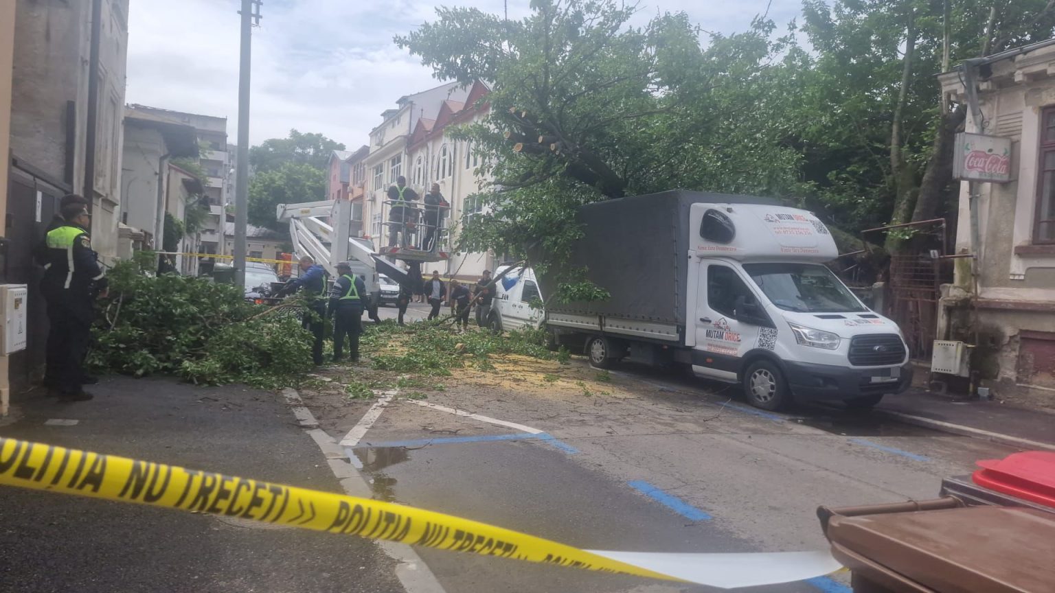 foto inca un copac prabusit in bucuresti alte masini facute praf in parcare strada hagi moscu maria blocata complet de cateva ore 6836ef618d8ab
