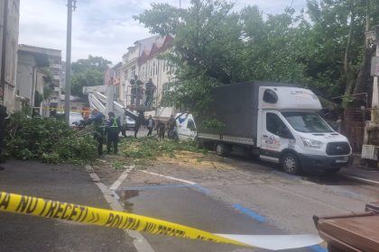 foto inca un copac prabusit in bucuresti alte masini facute praf in parcare strada hagi moscu maria blocata complet de cateva ore 6836ef618d8ab