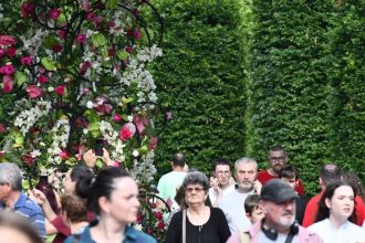 foto la west side flower fest vor fi recreate din mii de flori taramuri de poveste divina comedie si legendele olimpului se numara printre creatiile spectaculo 6825c8536a890