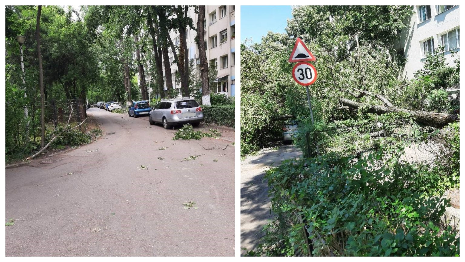 foto mai multi copaci s au rupt si au cazut peste trei masini in pajura dezastru in cartier spune un bucurestean 682b5e09c9ccd