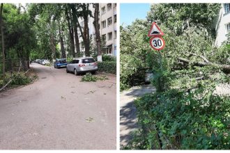 foto mai multi copaci s au rupt si au cazut peste trei masini in pajura dezastru in cartier spune un bucurestean 682b5e09c9ccd