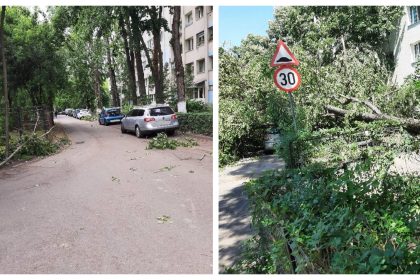 foto mai multi copaci s au rupt si au cazut peste trei masini in pajura dezastru in cartier spune un bucurestean 682b5e09c9ccd