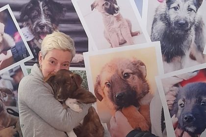 foto selena cora aluna si alti 17 catei prezenti sambata la doua targuri de adoptii din bucuresti art safari si k zilla festival abia asteapta sa fie luati acasa 68385e1f81f63