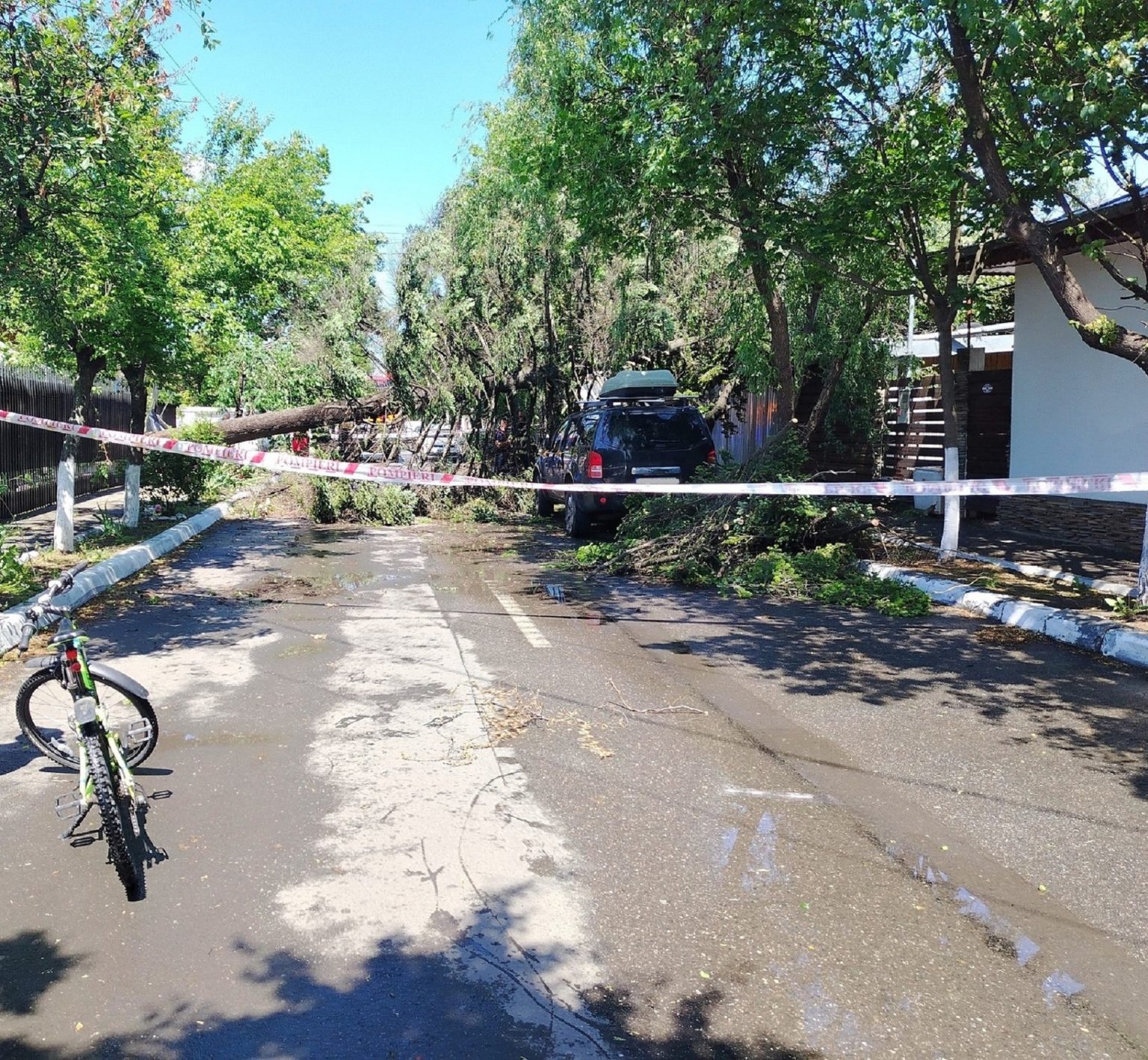 foto un brad s a prabusit pe strada nazarcea din bucurestii noi trecerea este blocata copacul aproape a lovit o masina parcata pe carosabil 682b41e5d162c
