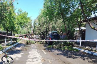 foto un brad s a prabusit pe strada nazarcea din bucurestii noi trecerea este blocata copacul aproape a lovit o masina parcata pe carosabil 682b41e5d162c