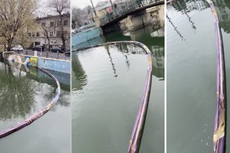 green report cate gunoaie au fost scoase din apele romaniei un proiect experimental din bucuresti a retinut zeci de kilograme de deseuri 682d5ff5503b9