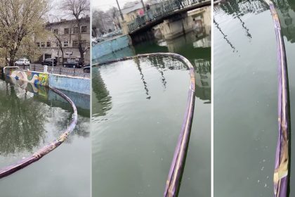 green report cate gunoaie au fost scoase din apele romaniei un proiect experimental din bucuresti a retinut zeci de kilograme de deseuri 682d5ff5503b9