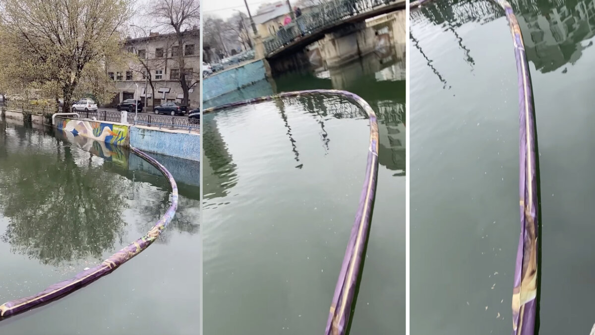 green report cate gunoaie au fost scoase din apele romaniei un proiect experimental din bucuresti a retinut zeci de kilograme de deseuri 682d5ff5503b9