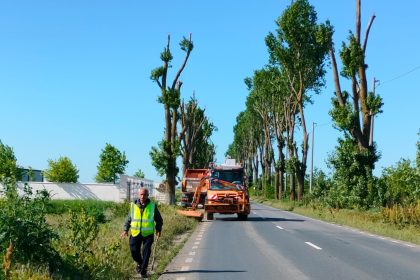 ilfovul lupta cu ambrozia bilantul actiunii de cosire pe drumurile judetene 6831776830a08