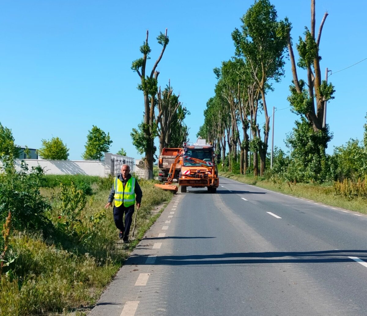 ilfovul lupta cu ambrozia bilantul actiunii de cosire pe drumurile judetene 6831776830a08