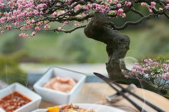 incepe asian food fest in parcul titan 6830485f46a9b