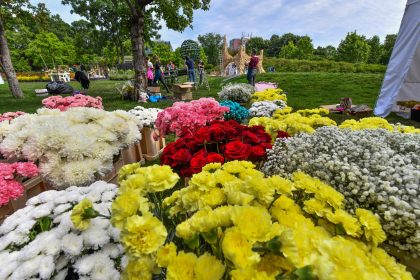 incepe west side flower fest in parcul drumul taberei care este programul complet al primei zile de festival 6839b3280d834