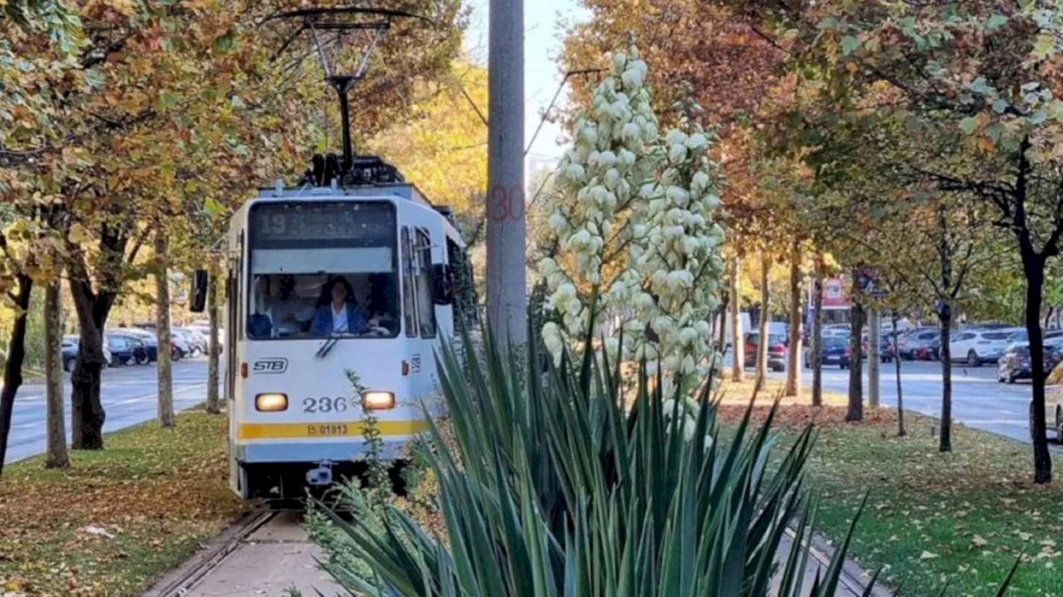 incredibil dar adevarat in orasul inundat tramvaiele 19 23 si 27 blocate in zona camil ressu liviu rebreanu din cauza baltilor stb se circula deviat 6839b32a4a809
