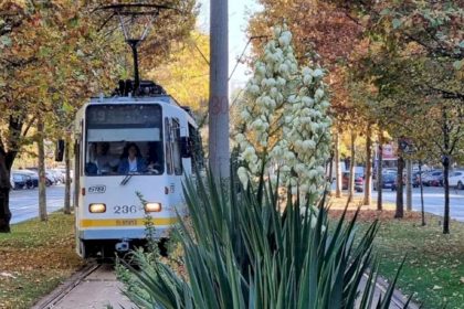 incredibil dar adevarat in orasul inundat tramvaiele 19 23 si 27 blocate in zona camil ressu liviu rebreanu din cauza baltilor stb se circula deviat 6839b32a4a809