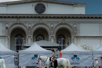 kzilla festival revine weekendul acesta in bucuresti cei mici au parte de ateliere concerte si pot interactiona cu artistii din musicalul shrek targ de adoptii aspa 68386c339ea38