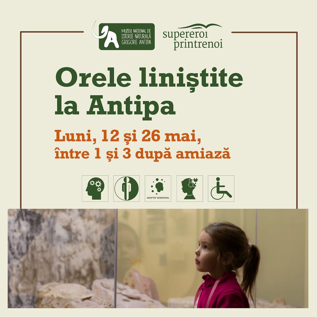 muzeul antipa redeschide portile pentru orele linistite o experienta speciala pentru vizitatorii cu nevoi speciale 6832cc657faa2