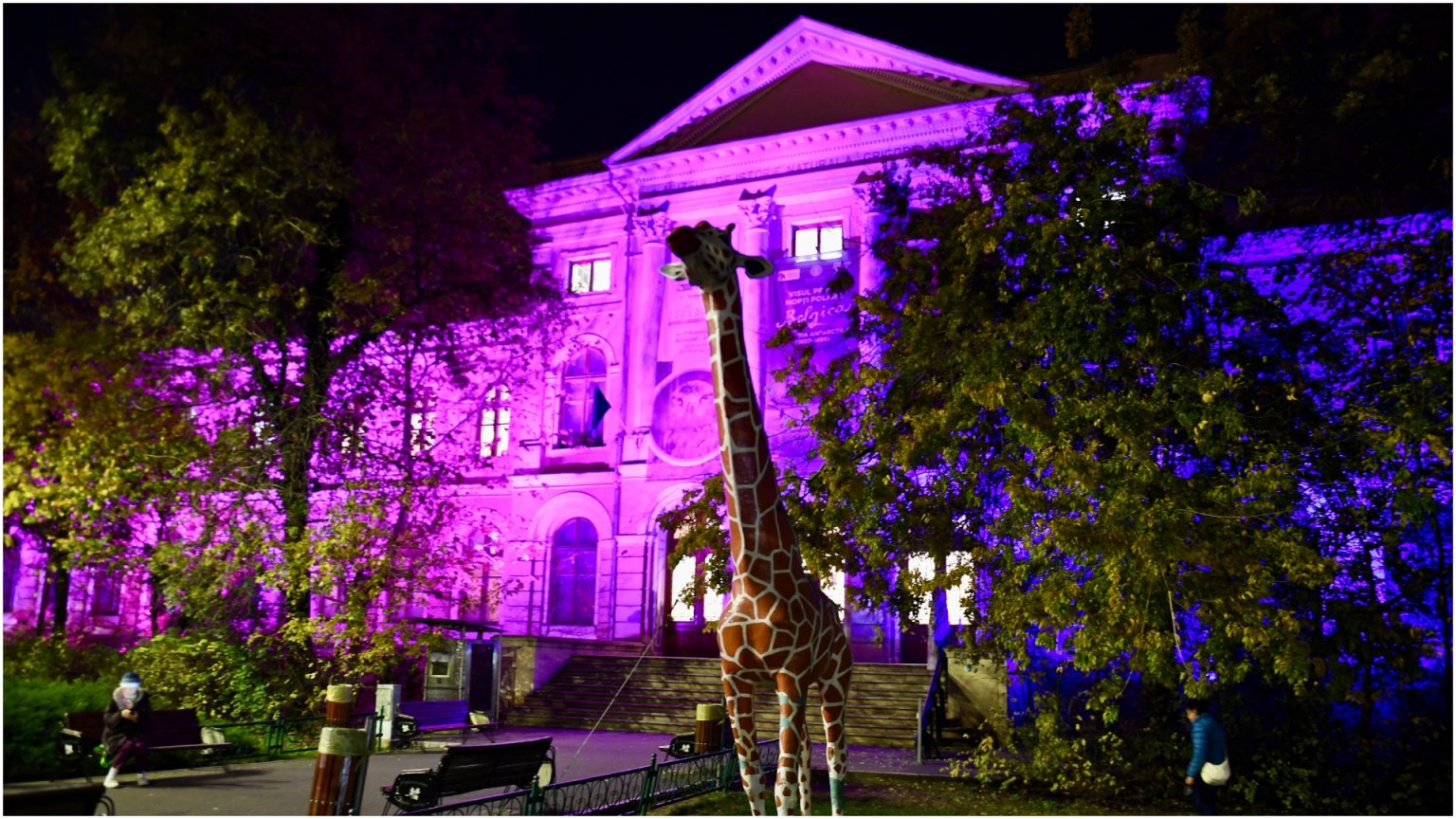 muzeul antipa se transforma pentru ziua copilului picii sunt asteptati aici de ziua lor la ateliere de robotica creatie si la dans cu acrobatii dilu si dila intrarea e gratuita 6836e723c0ced