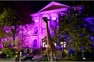 muzeul antipa se transforma pentru ziua copilului picii sunt asteptati aici de ziua lor la ateliere de robotica creatie si la dans cu acrobatii dilu si dila intrarea e gratuita 6836e723c0ced