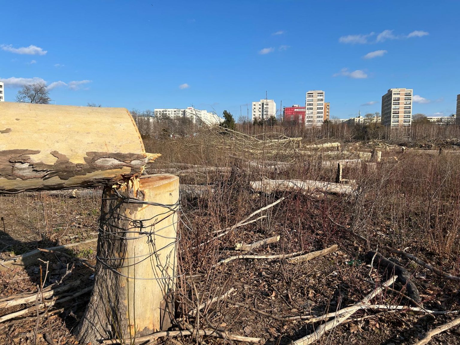 negoita despre ce spera sa faca noul primar general din parcul ior am mari sperante ca va deschide un nou proces 682d450118b29